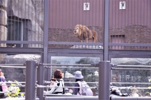 10月9日(火)　円山動物園バス遠足