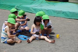 夏の幼稚園