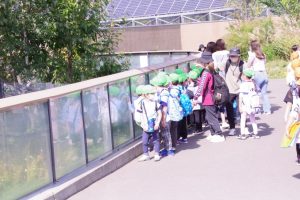 円山動物園へ遠足